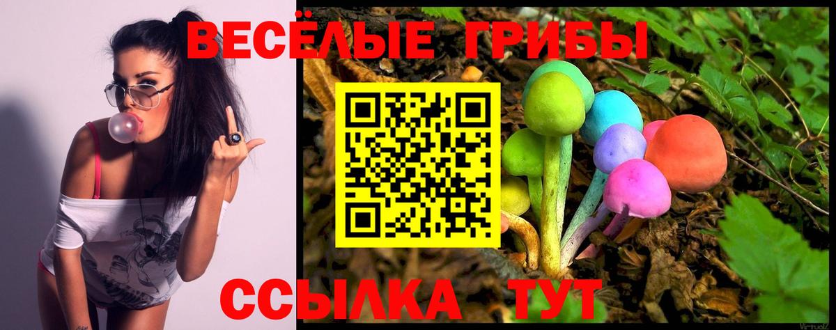 Ивантеевка  Псилоцибиновые грибы прущие грибы  Вход с VPN 